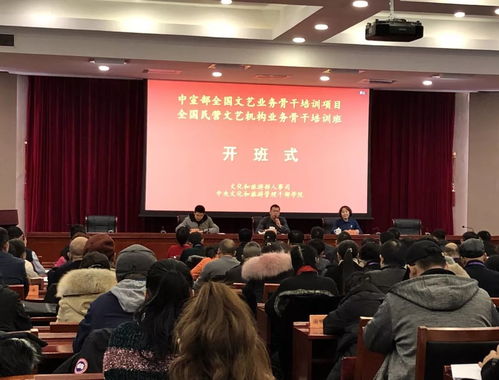 一次民營文藝機構(gòu)人士豁然開朗的培訓(xùn)班 藝術(shù)培訓(xùn)的營利性民辦培訓(xùn)機構(gòu)探析